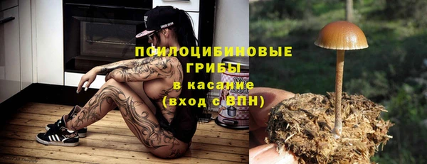 прущая мука Абаза