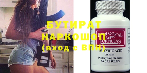 индика Ельня