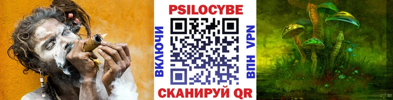 Псилоцибиновые грибы мухоморы  OMG tor  Чапаевск  наркошоп 